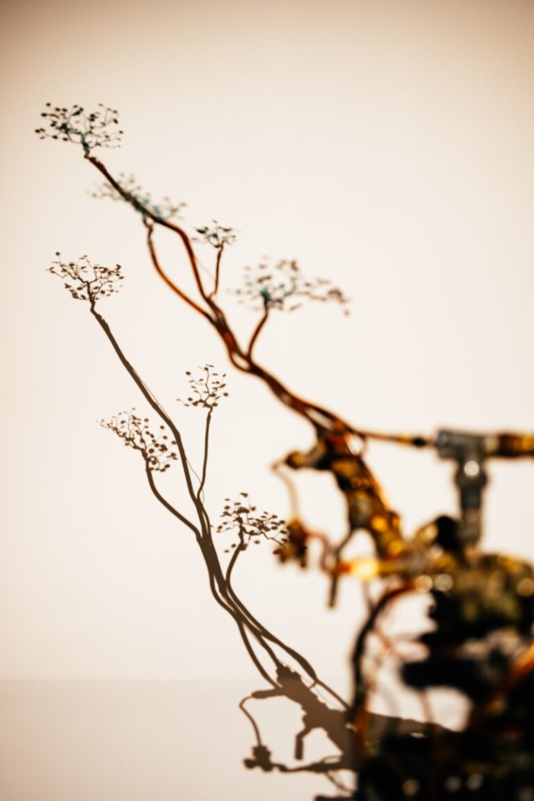 HKMOA Exhibit photography 2023
