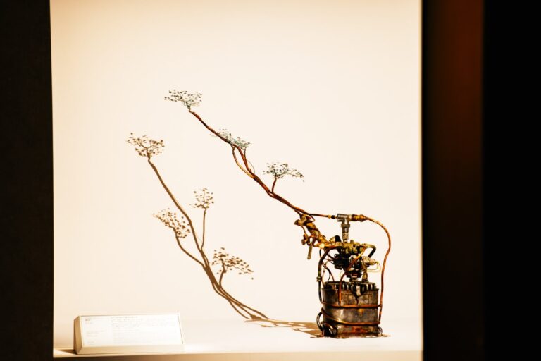 HKMOA Exhibit photography 2023