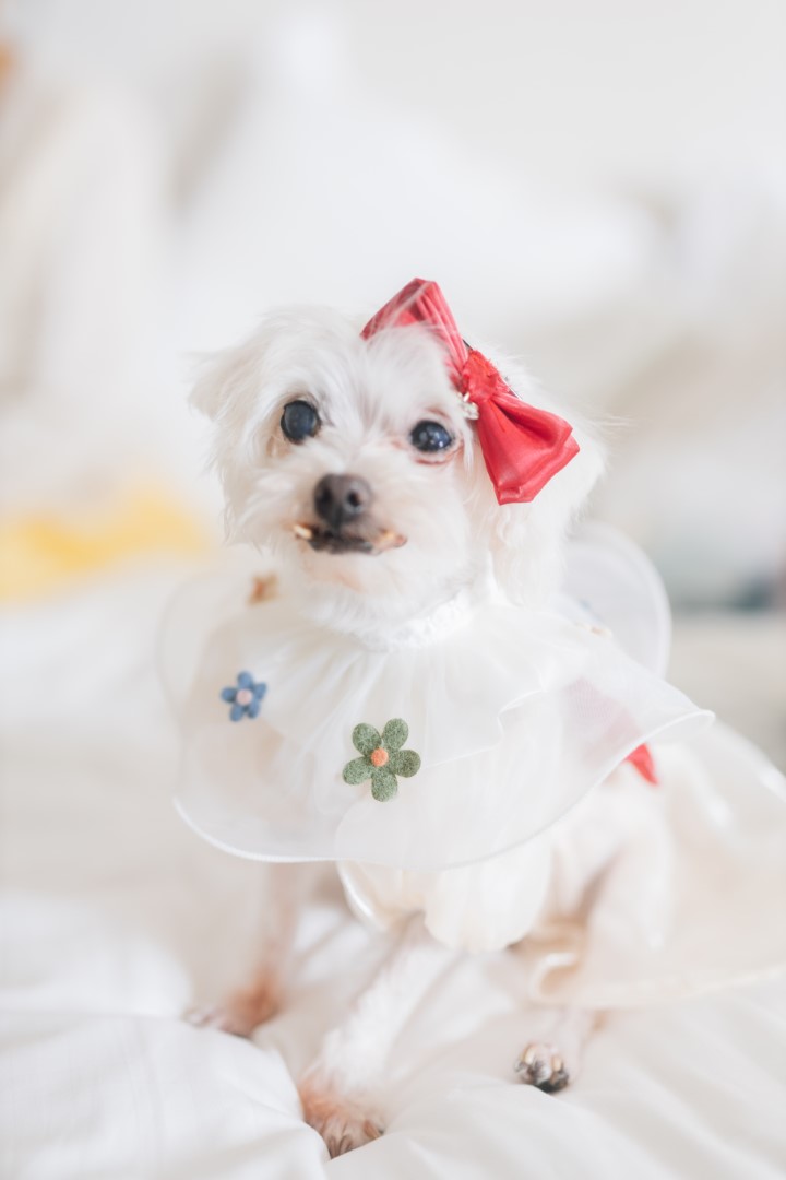 Christy&amp;Douglas Wedding