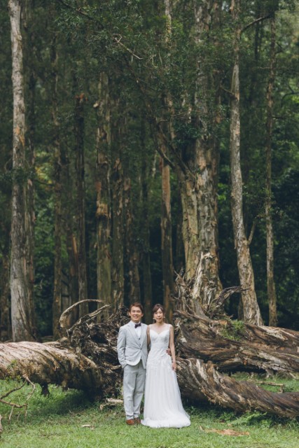  Post wedding